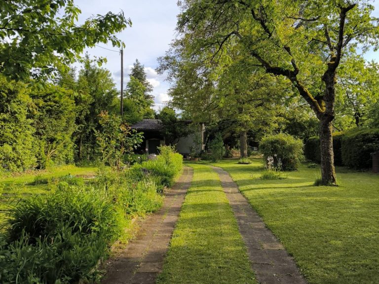 Rasenpflege in Würzburg Rasenmähservice im Raum Würzburg. Endergebnis einer Arbeit von Gartenservice Heidrich.