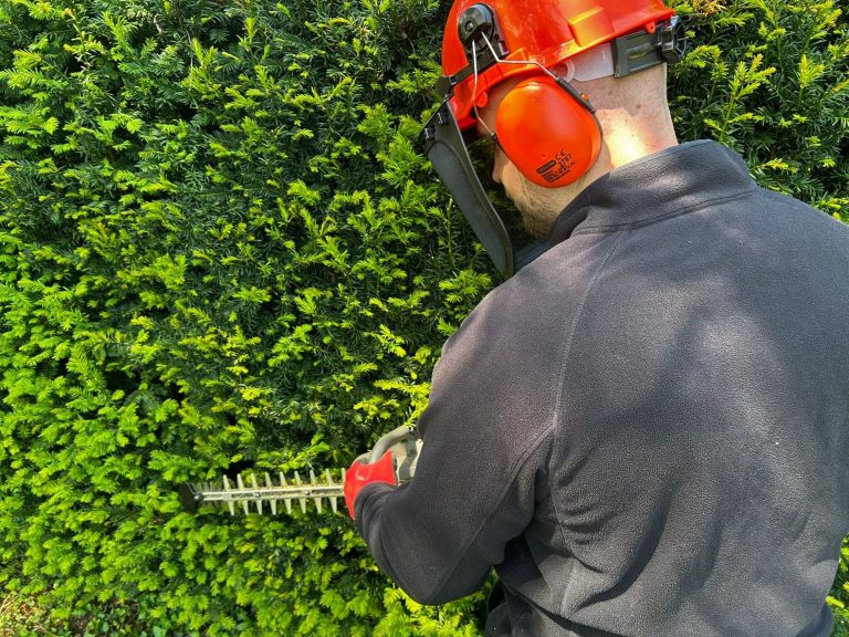 Heckenschnitt und Heckenformschnitt im Raum Würzburg Heckenschnitt durch den Inhaber des Gartenservice Heidrich aus Würzburg